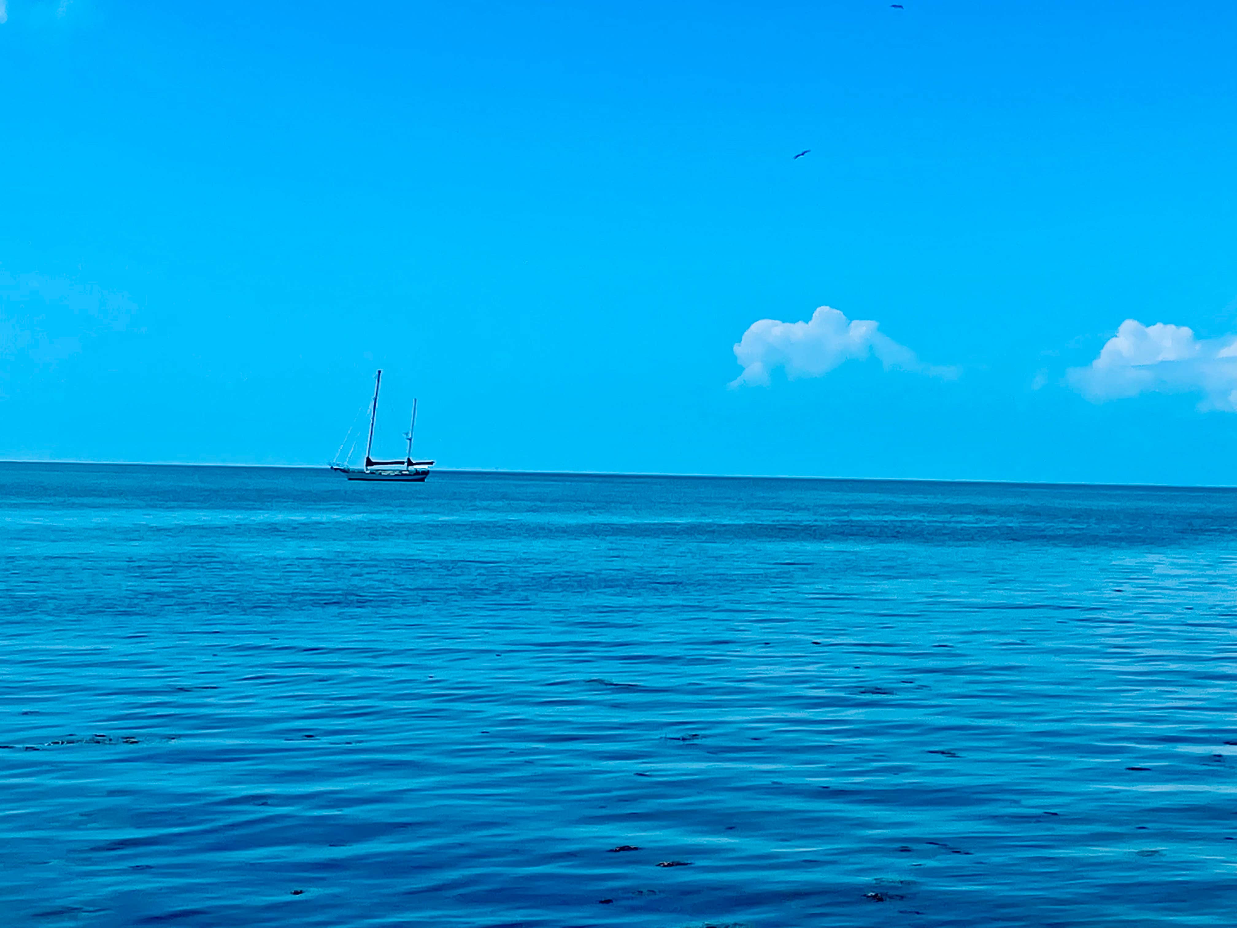 Camping near Edward Medard Park: Sun n Fun Campground, Mulberry, Florida