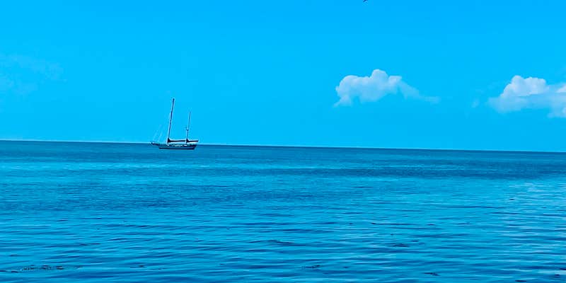 Camper submitted image from Sun n Fun Campground