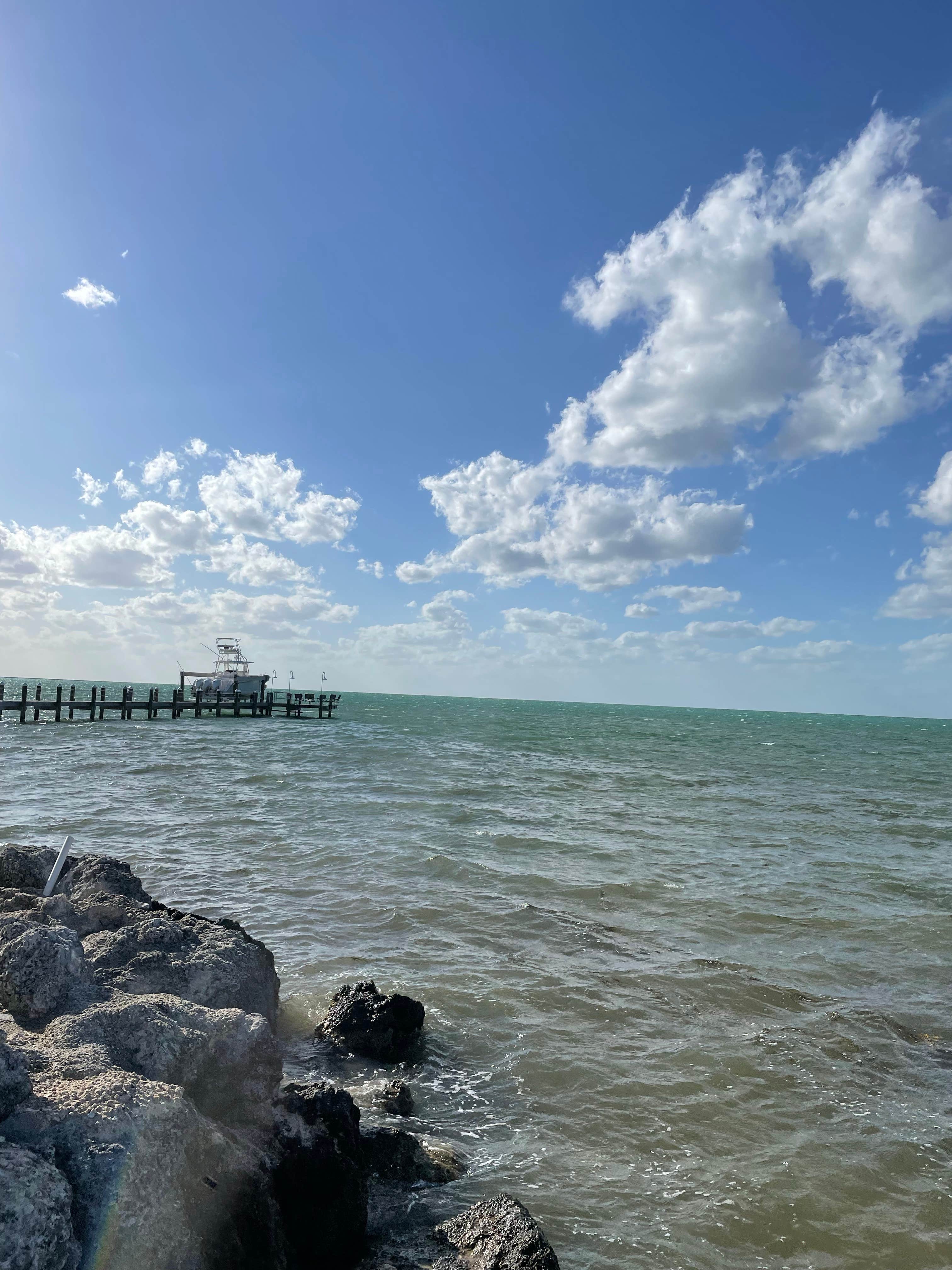 Camper-submitted photo at Sun n Fun Campground near Plant City, FL