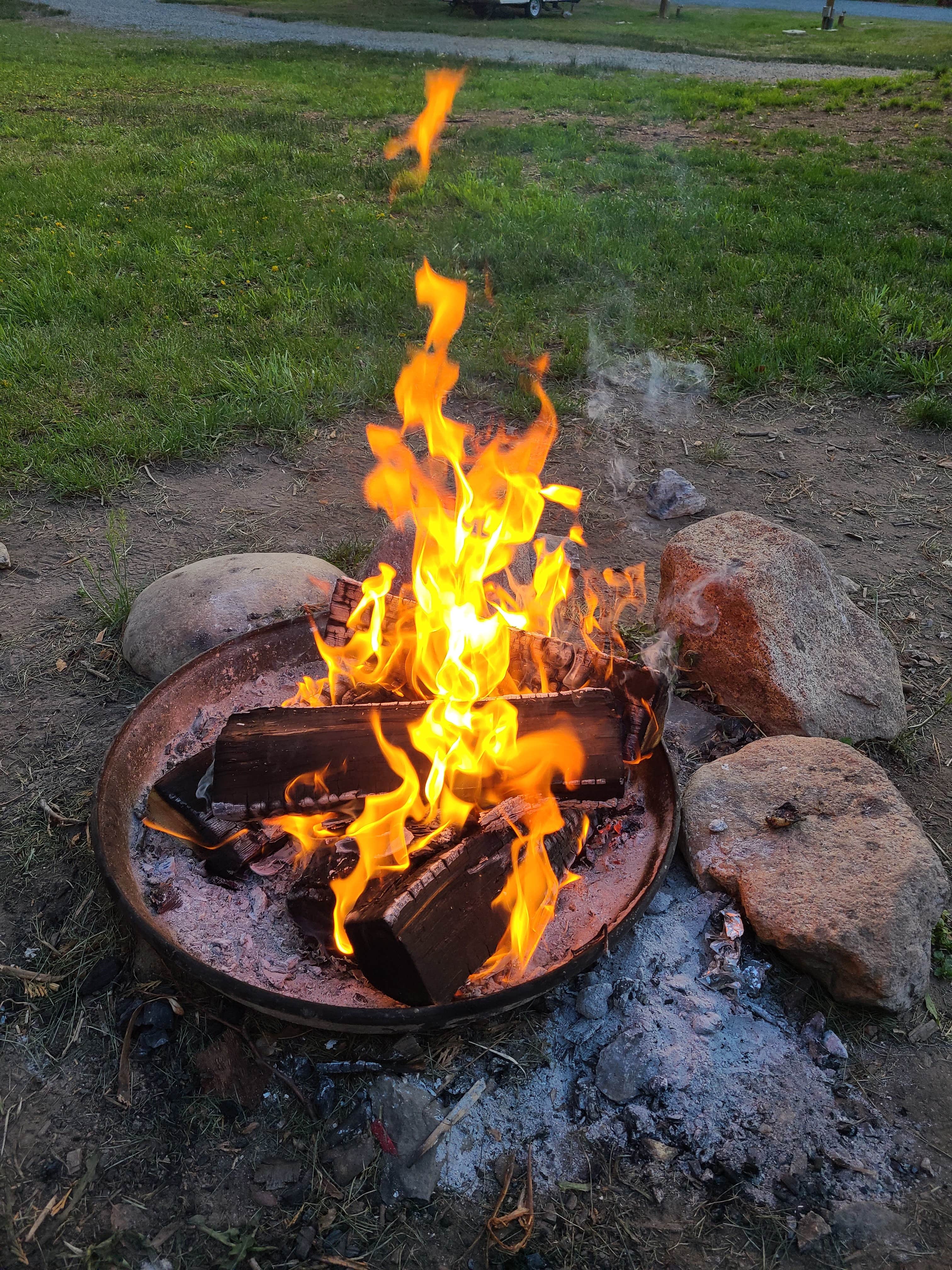 Camper submitted image from Nelson Falls RV Park - 5