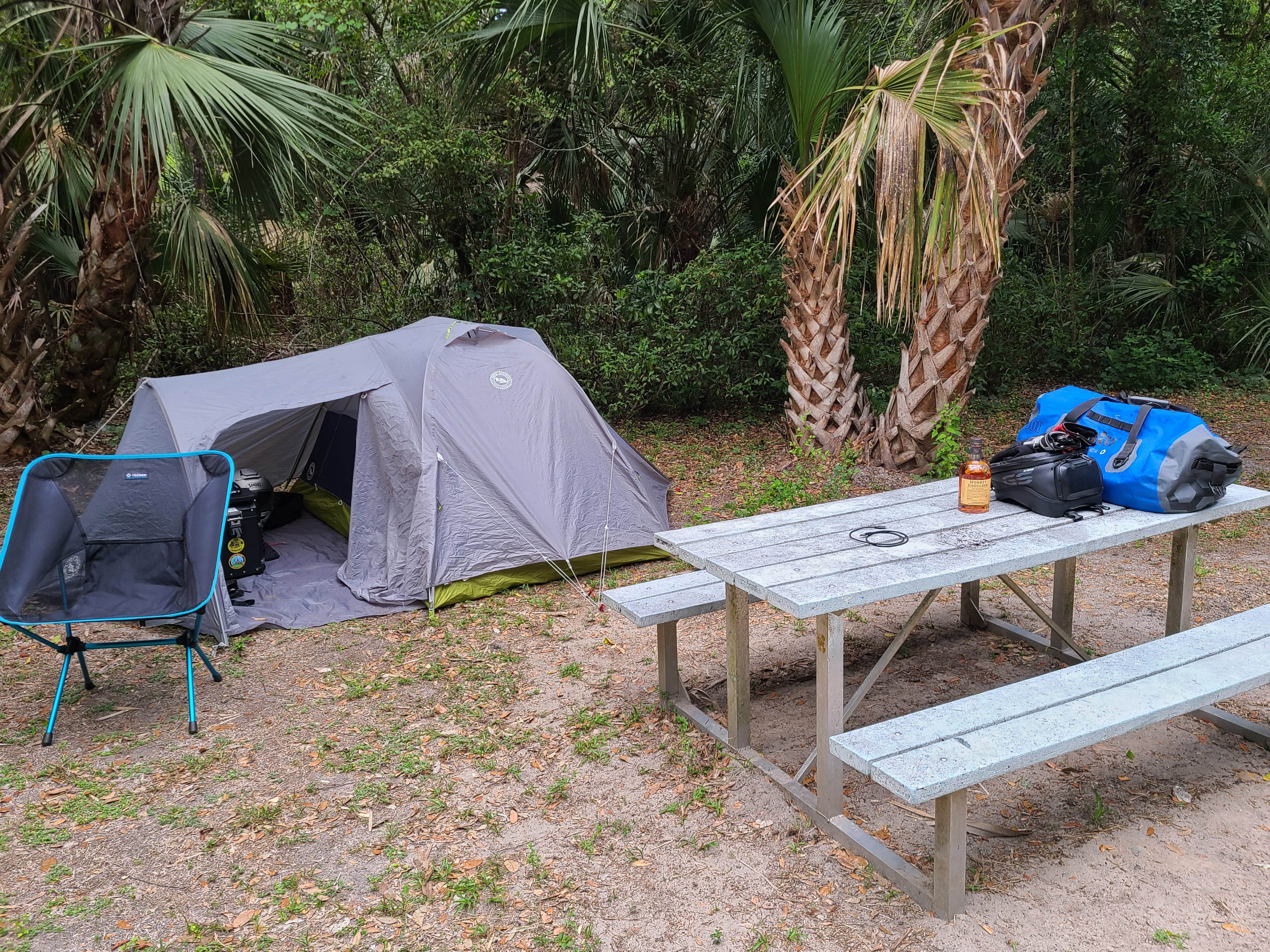 Camper submitted image from Caloosahatchee Regional Park - 1