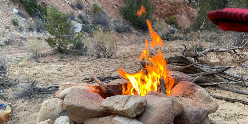 Camper submitted image from Cottonwood / Grand Staircase BLM