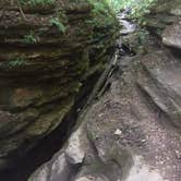 Review photo of Shades State Park Campground by Caitlin W., July 12, 2018