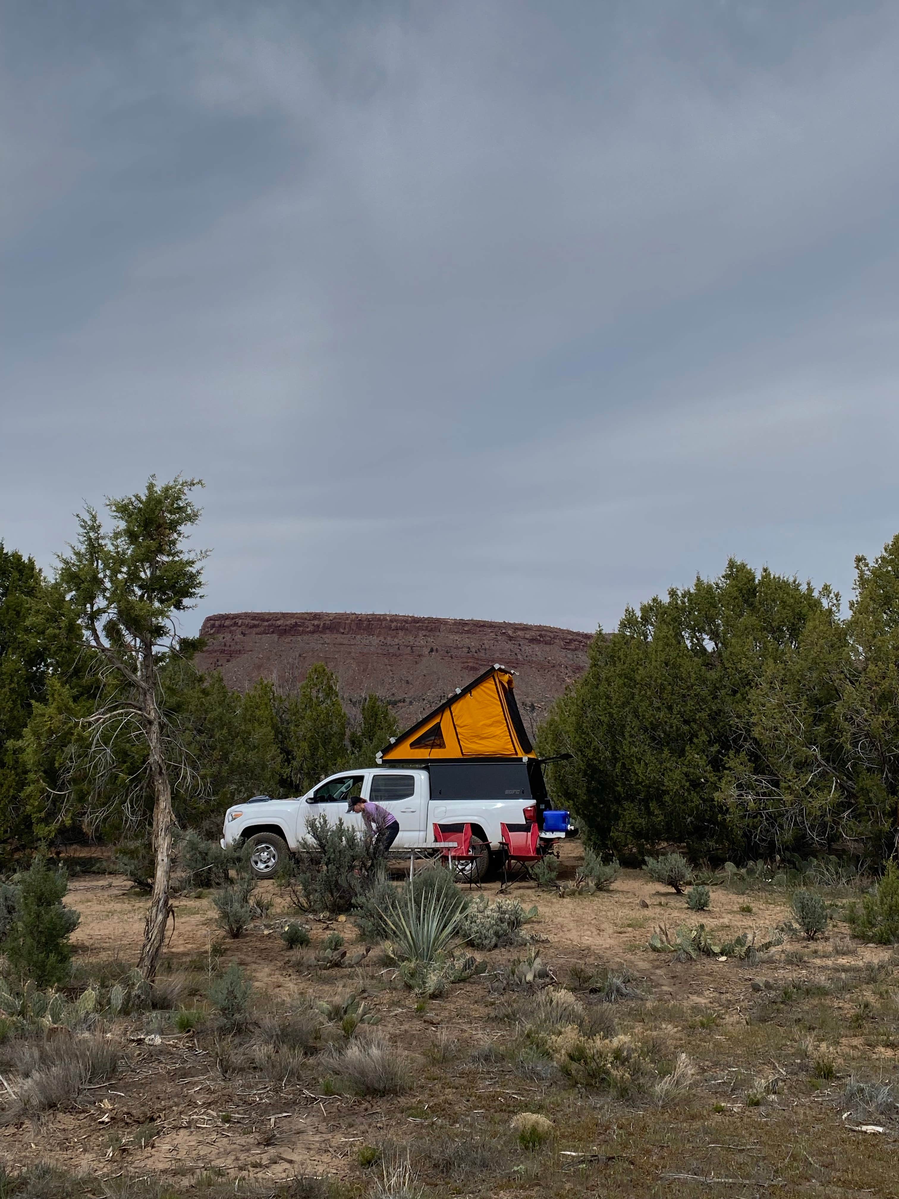 Camper submitted image from Dalton Wash Dispersed - 5