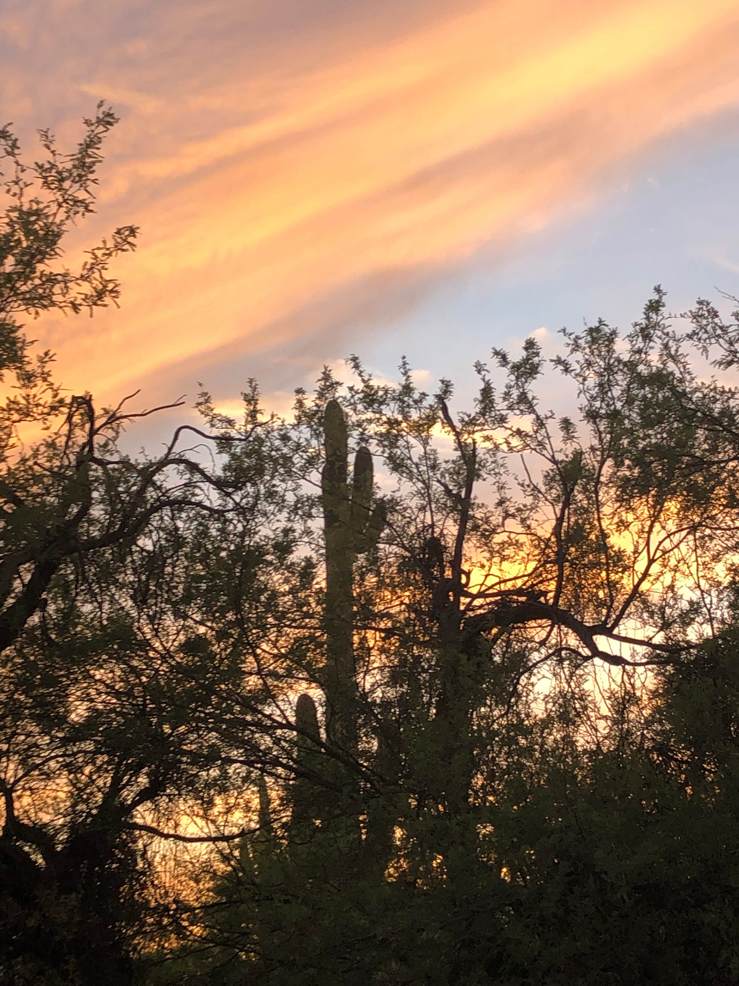 Camper-submitted photo at Box Bar near Rio Verde, AZ