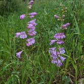 Review photo of Dutch George Campground by Wren H., April 16, 2022