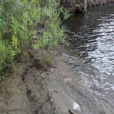 Review photo of Dutch George Campground by Wren H., April 16, 2022