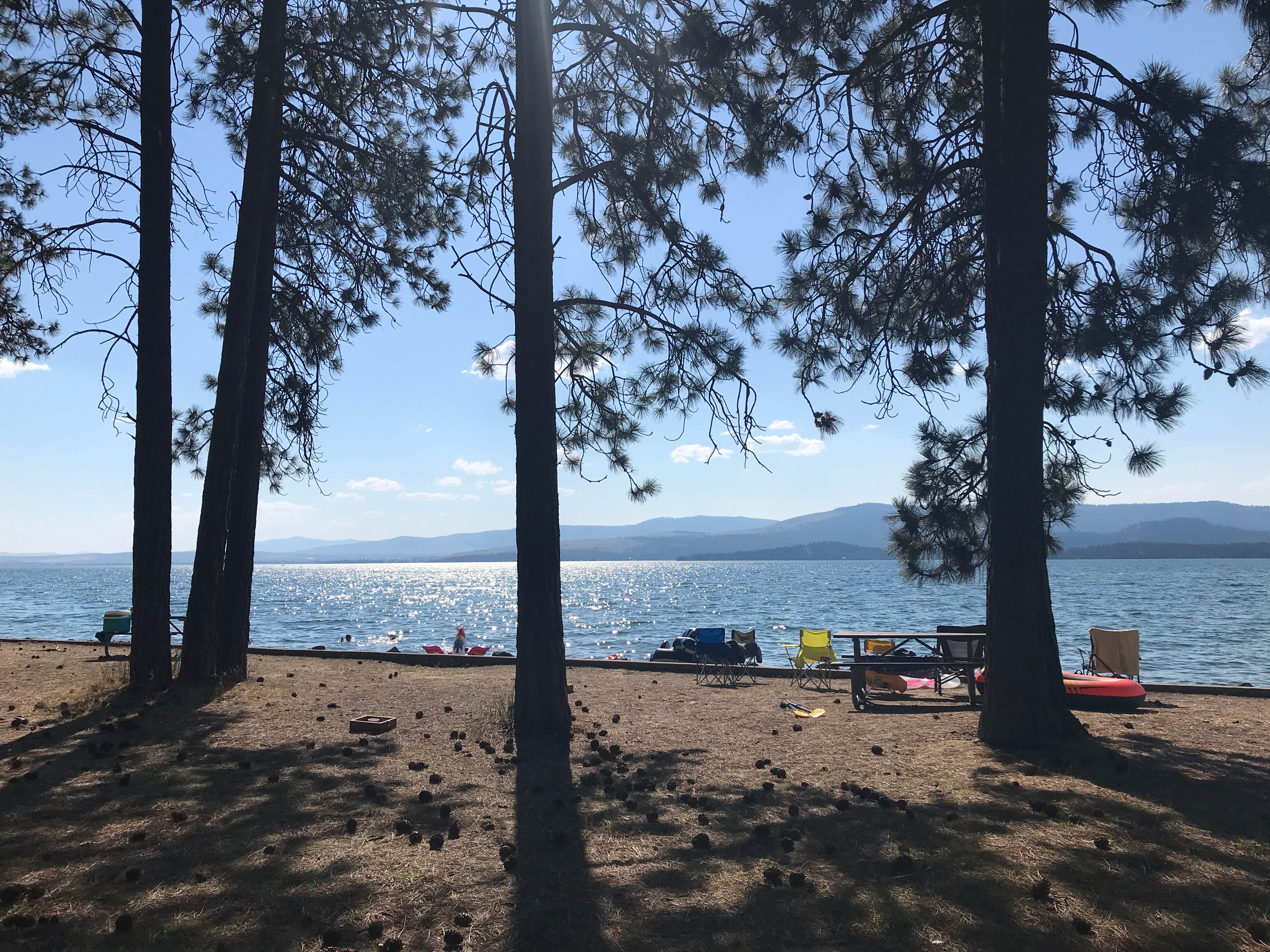 Camper submitted image from Finley Point Unit — Flathead Lake State Park - 3