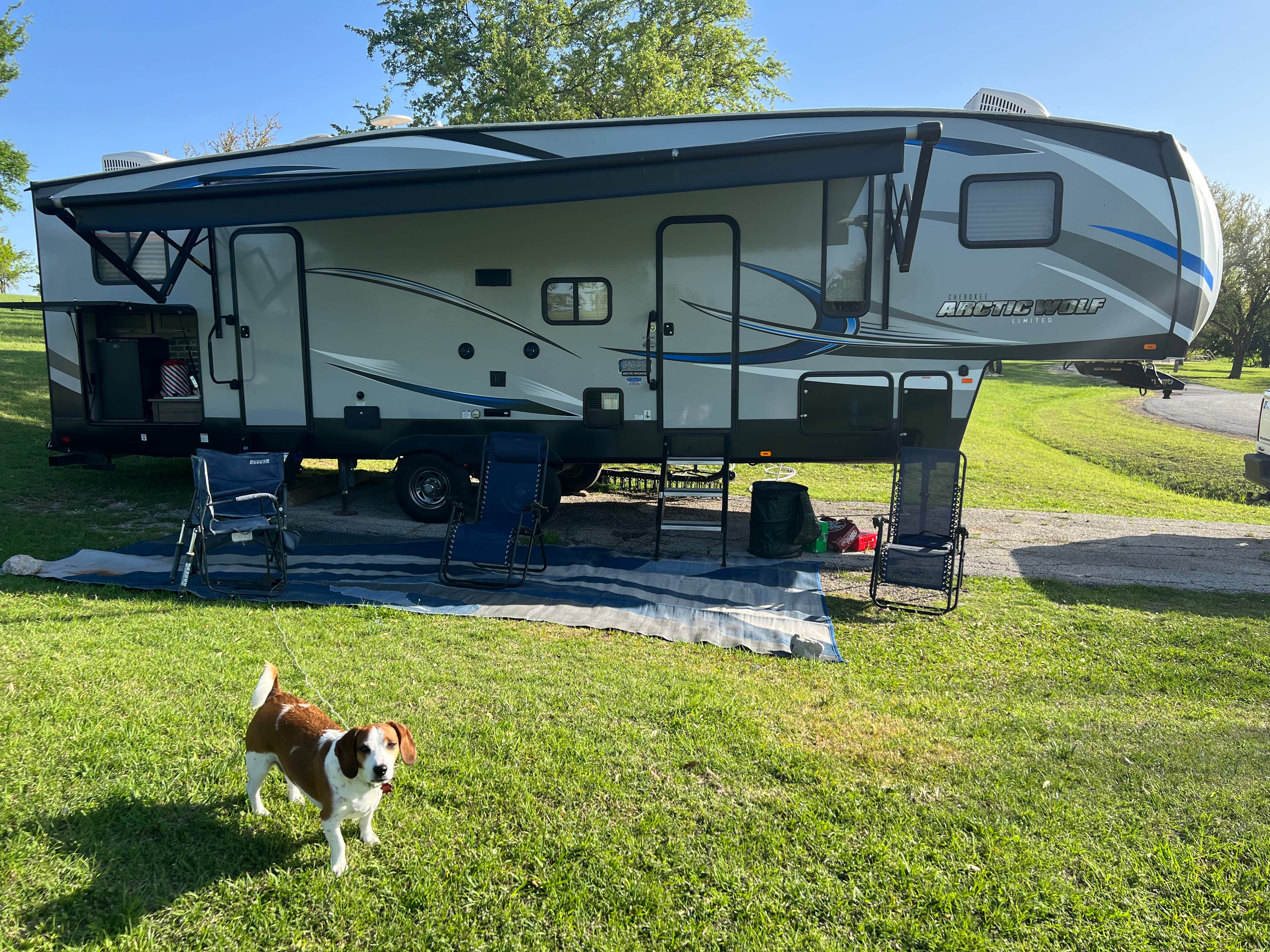 Camper submitted image from COE Lavon Lake Lavonia - 3