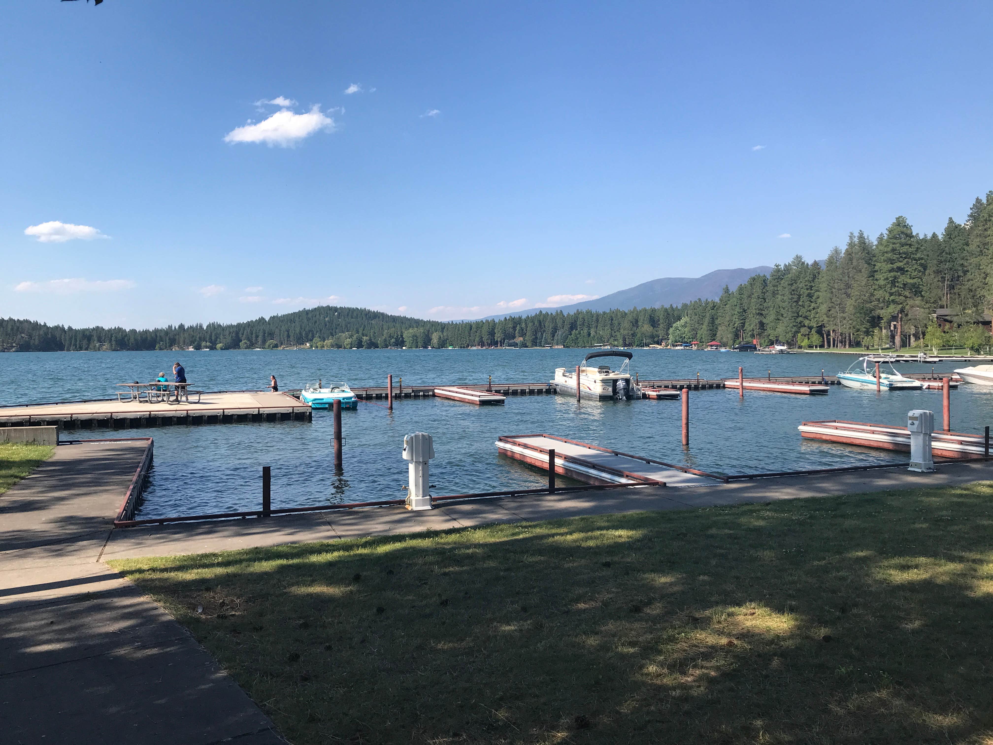 Camper submitted image from Finley Point Unit — Flathead Lake State Park - 5