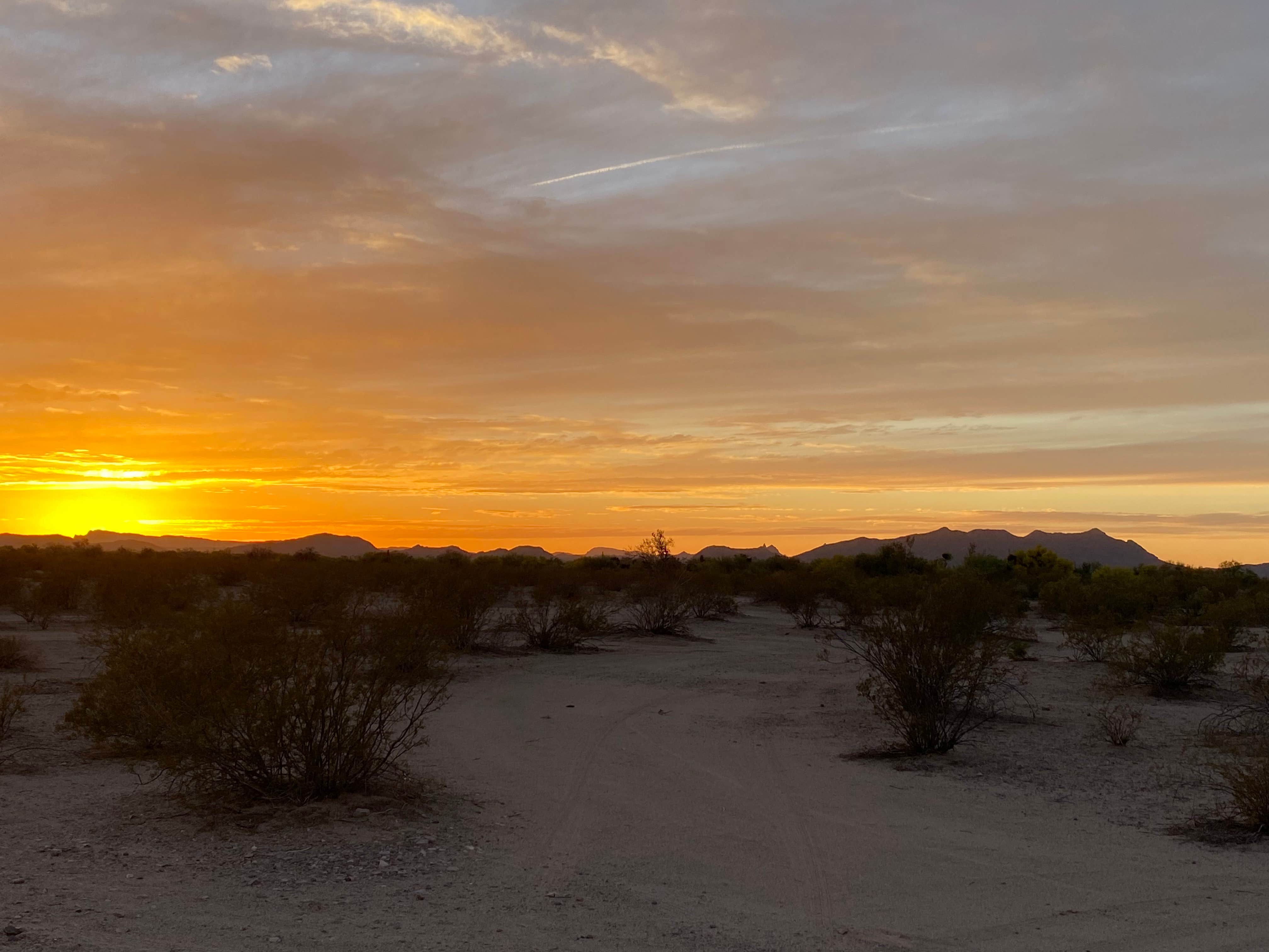 Monte W.'s photo of a dispersed camping area at Gunsight Wash BLM Dispersed camping area near Organ Pipe Cactus National Monument