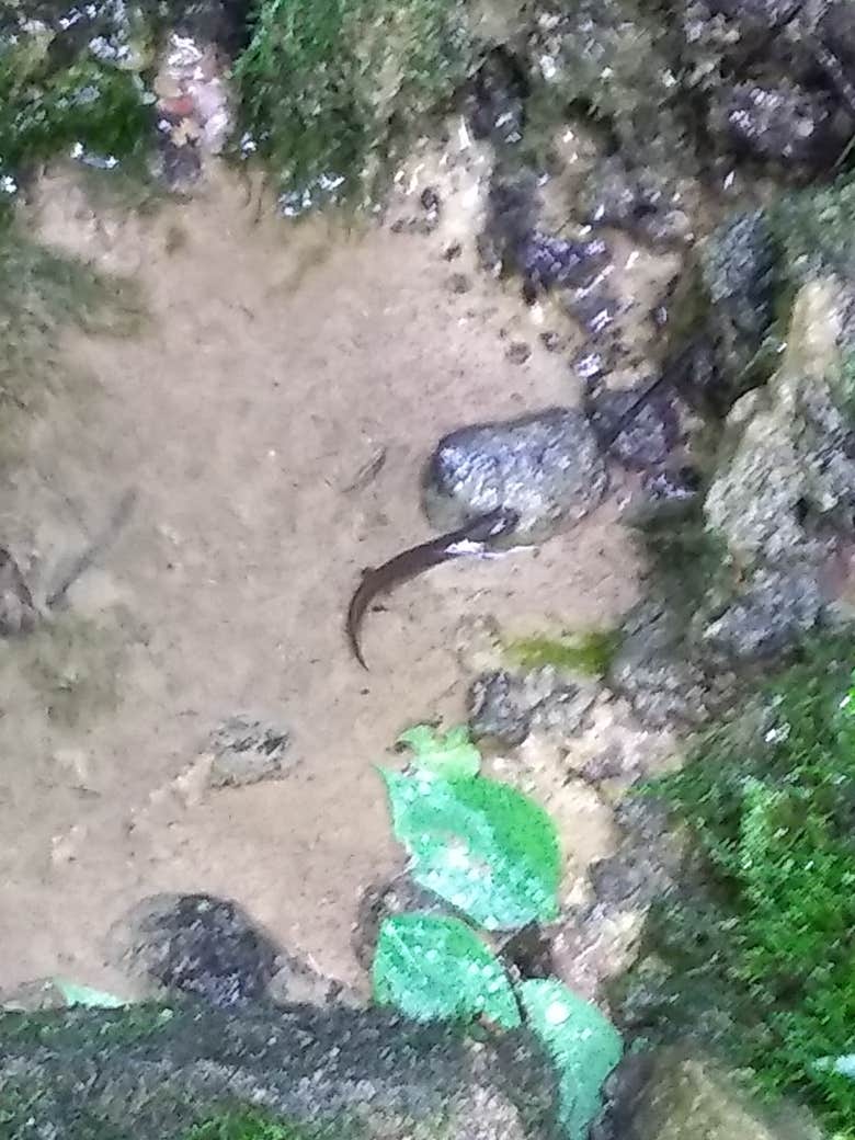 Camper-submitted photo at Mounds State Park Campground near Fishers, IN