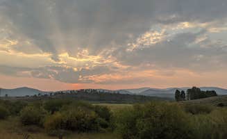 Wren H.'s photo of a dispersed camping area at Dispersed Camping Apiatan Mtn near Rocky Mountain National Park