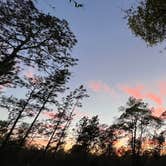 Review photo of Mike Roess Gold Head Branch State Park Campground & Cabins by Lorilee S., March 19, 2022