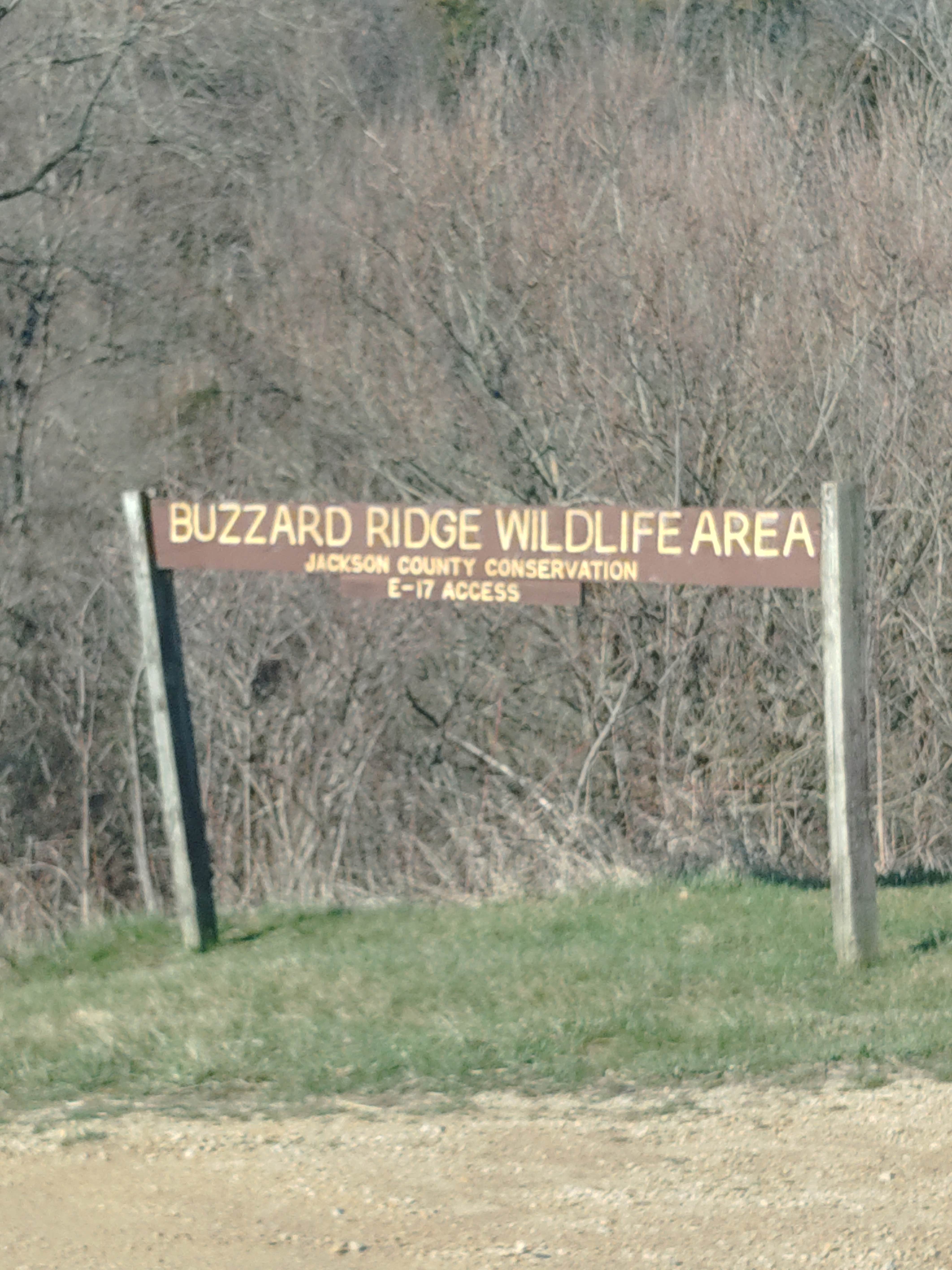 Camper-submitted photo at Buzzard Ridge Wildlife Area near Wyoming, IA