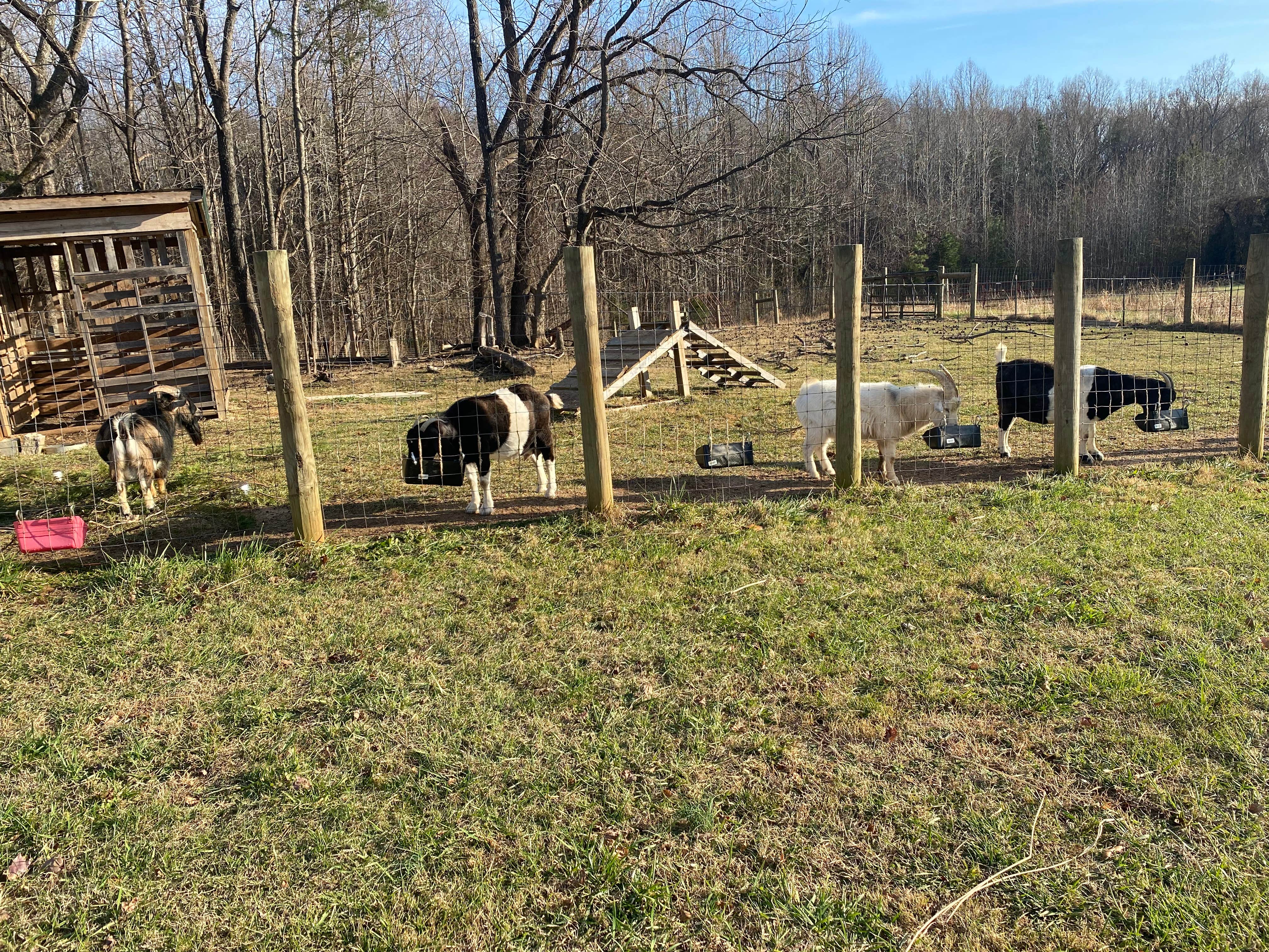 Camper-submitted photo at Cloverdale Farms near Goochland, VA