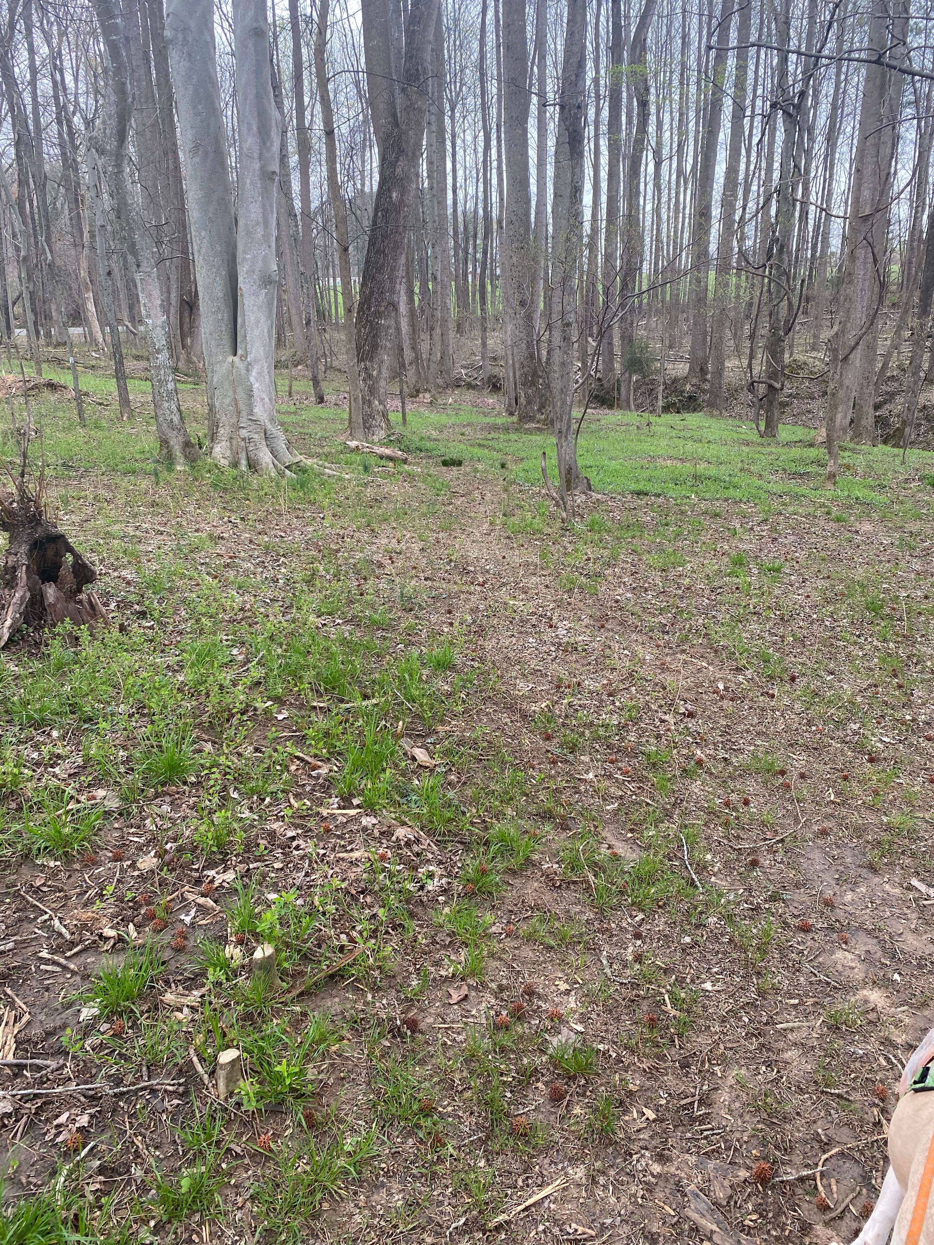 Camper-submitted photo at Cloverdale Farms near Goochland, VA