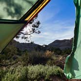 Review photo of Island In The Sky (Willow Flat) Campground — Canyonlands National Park by Madison R., April 17, 2022