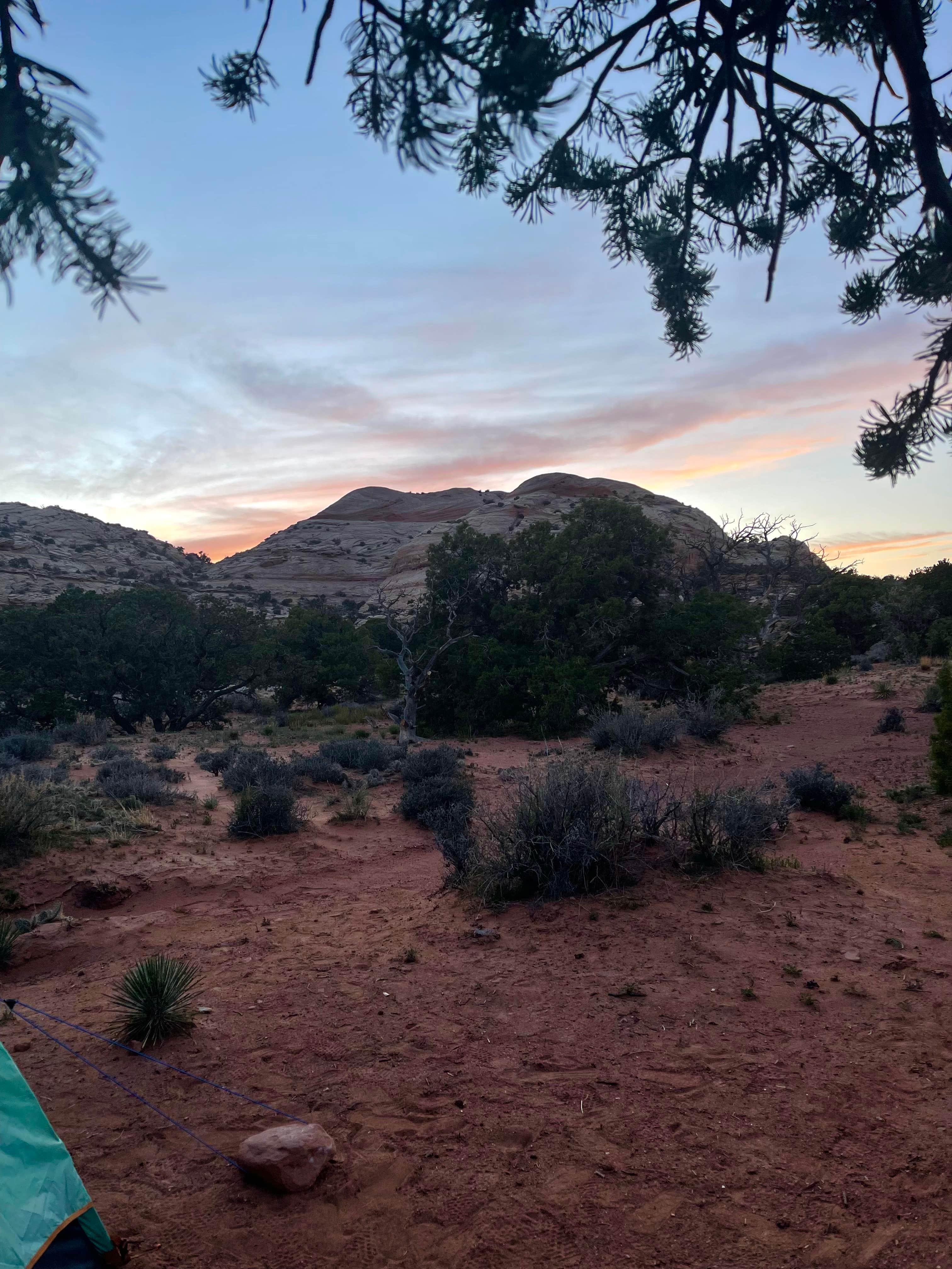 Madison R.'s photo at Island In The Sky (Willow Flat) Campground — Canyonlands National Park near Canyonlands National Park