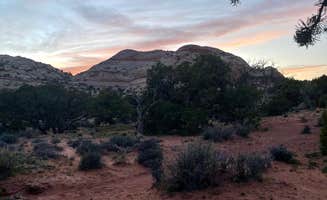 Madison R.'s photo at Island In The Sky (Willow Flat) Campground — Canyonlands National Park near Canyonlands National Park