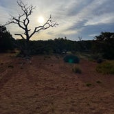 Review photo of Island In The Sky (Willow Flat) Campground — Canyonlands National Park by Madison R., April 17, 2022