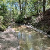 Review photo of Clear Springs Recreation Area by Flannel Fabe .., April 17, 2022