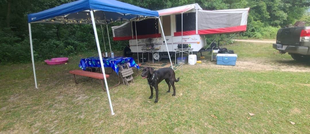 Camper-submitted photo at The Playful Goose Campground near Waupun, WI
