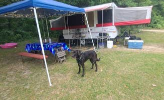 justin's photo of camping with pets at The Playful Goose Campground near Menomonee Falls, WI