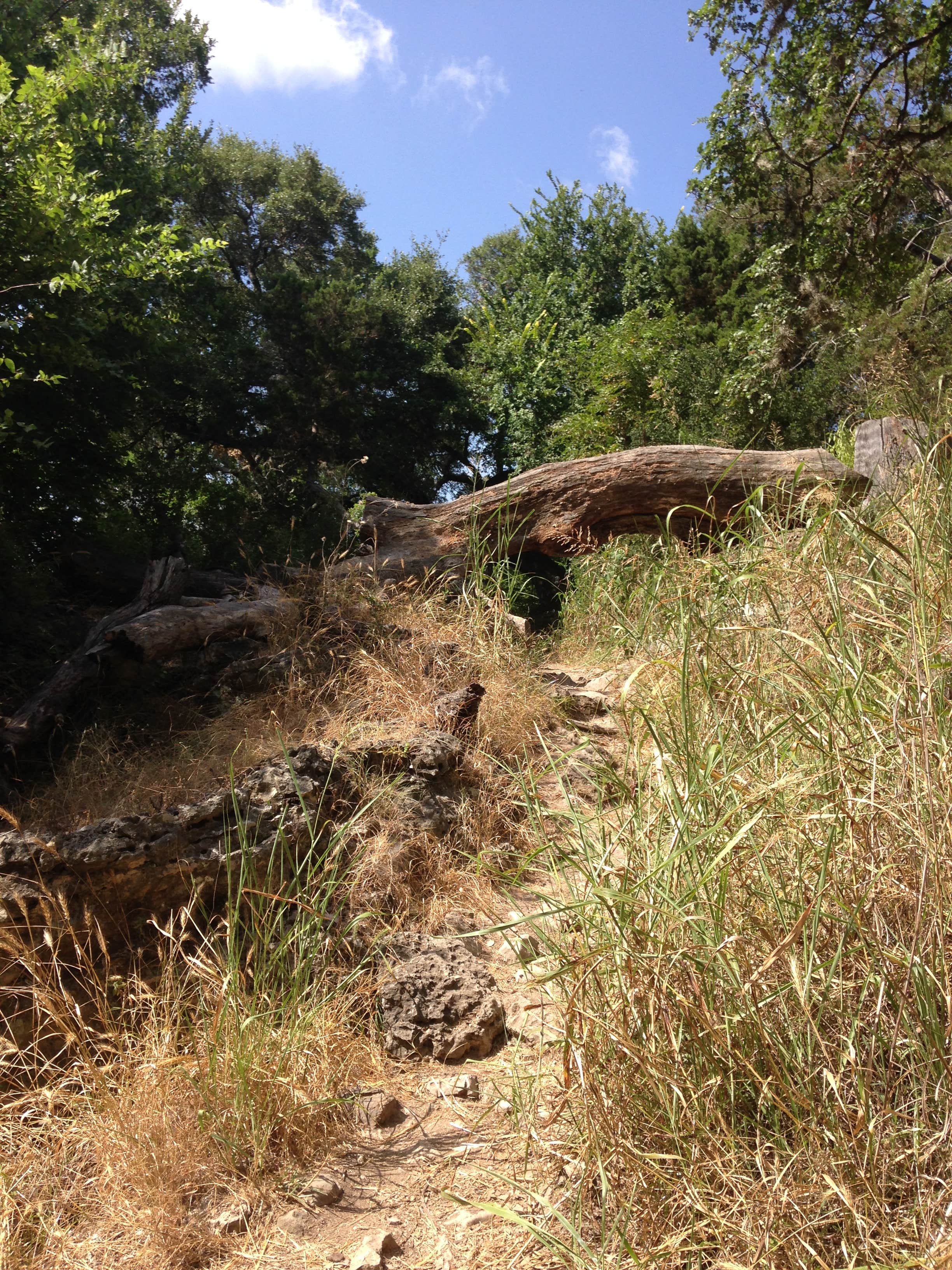 Camper submitted image from Pedernales Falls State Park Campground - 2
