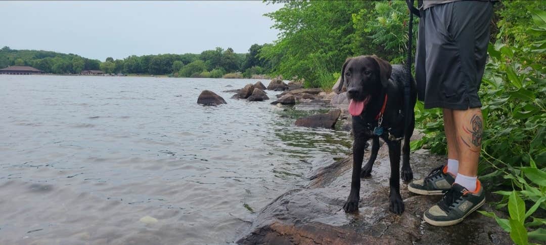 justin's photo of camping with pets at Ice Age Campground — Devils Lake State Park in Wisconsin