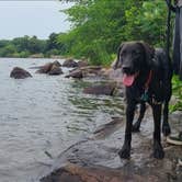 Review photo of Ice Age - Devils Lake State Park by justin , April 17, 2022