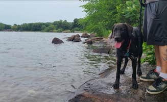 justin's photo of camping with pets at Ice Age Campground — Devils Lake State Park near Baraboo, WI