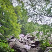 Review photo of Ice Age Campground — Devils Lake State Park by justin , April 17, 2022