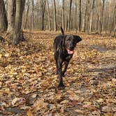 Review photo of Pike Lake Campground — Kettle Moraine State Forest-Pike Lake Unit by justin , April 17, 2022