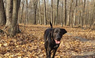 justin's photo of camping with pets at Pike Lake Campground — Kettle Moraine State Forest-Pike Lake Unit near Waukesha, WI