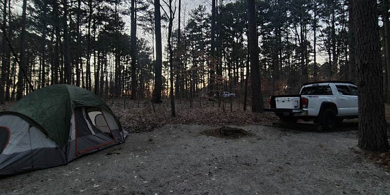 Camper submitted image from Tipsaw Lake