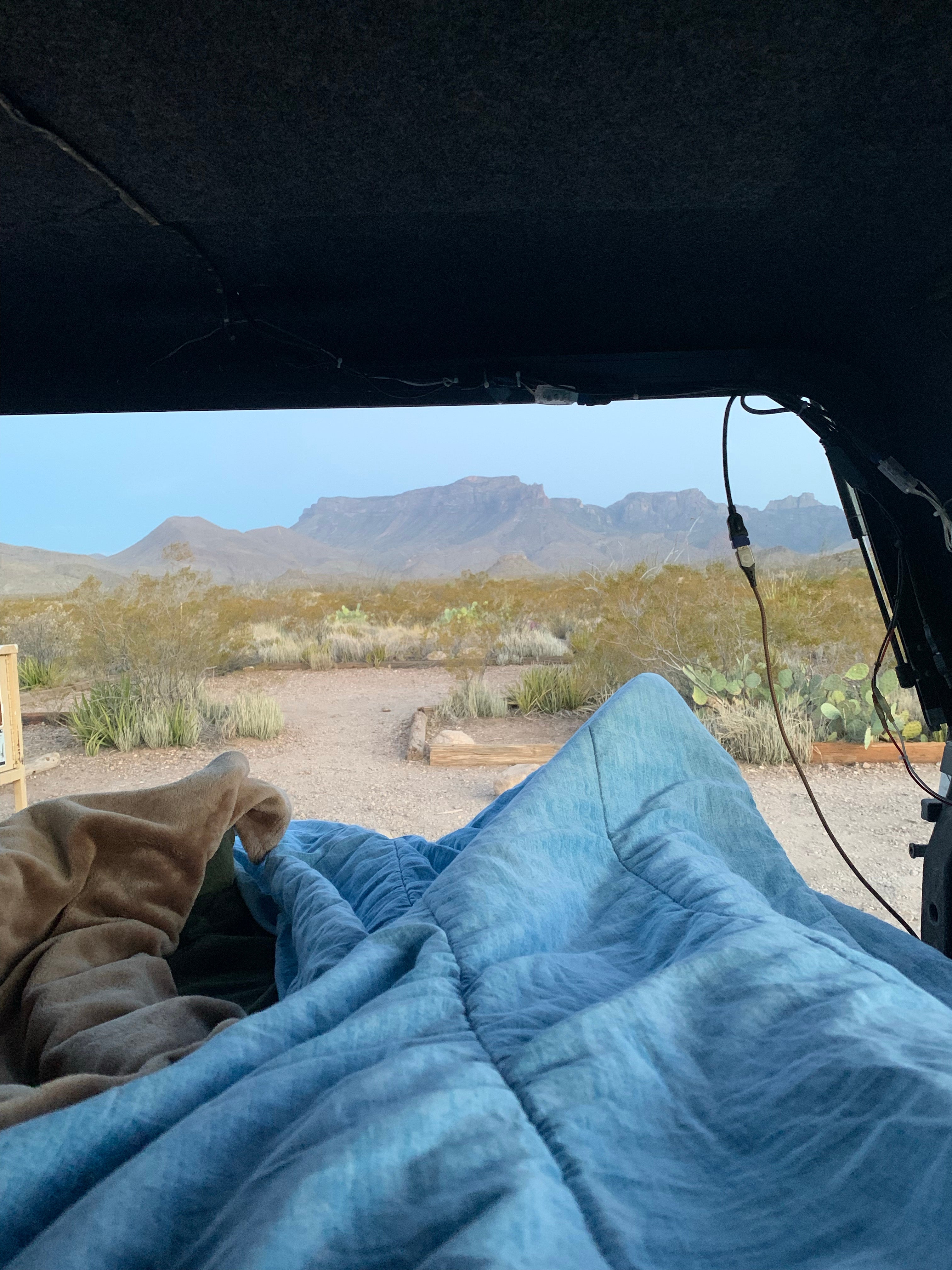 Camper submitted image from Robbers Roost Primitive Campsite — Big Bend National Park - 1