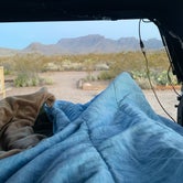 Review photo of Robbers Roost Primitive Campsite — Big Bend National Park by Zack S., April 17, 2022