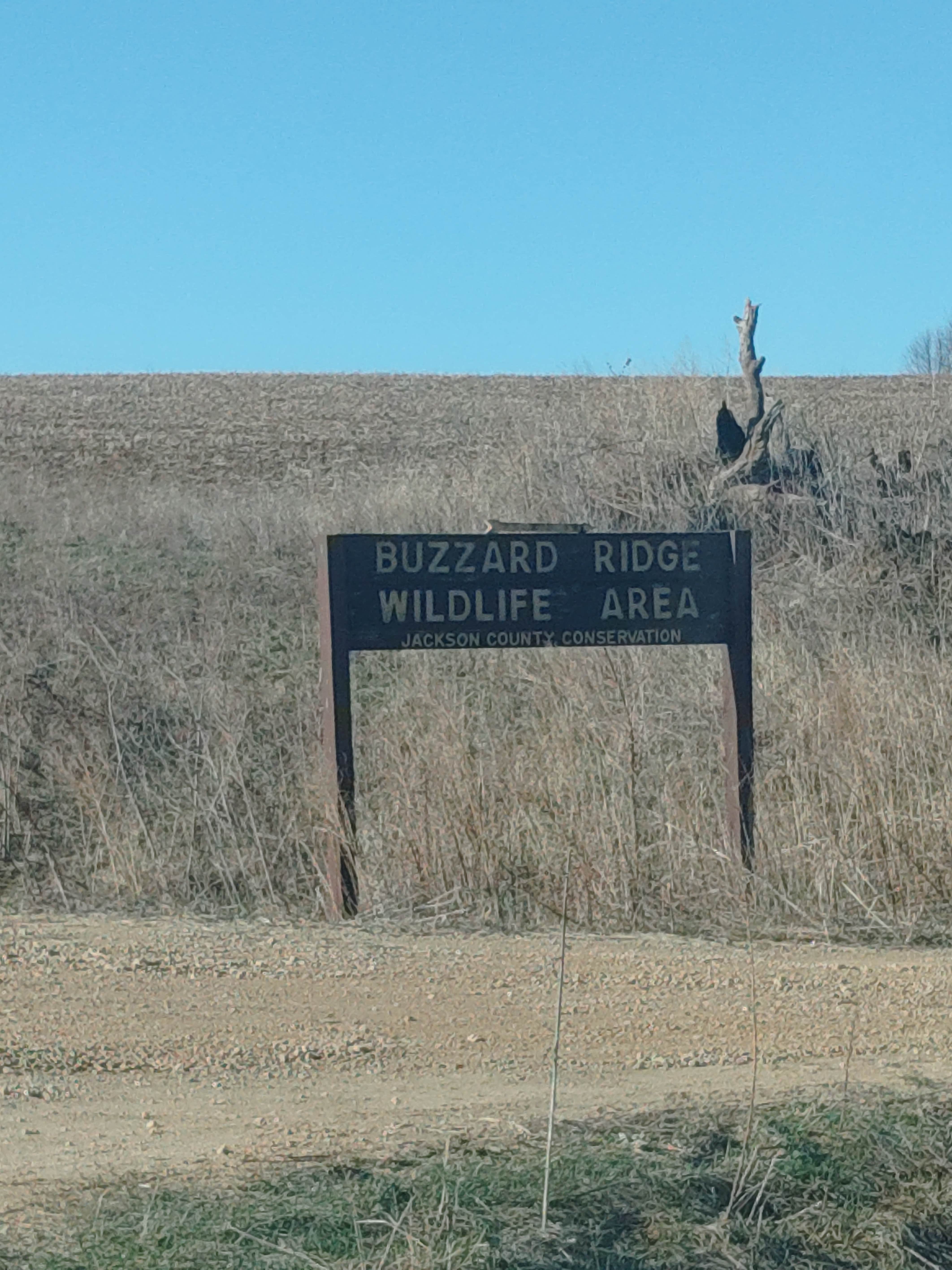 Camper-submitted photo at Buzzard Ridge Wildlife Area near Wyoming, IA