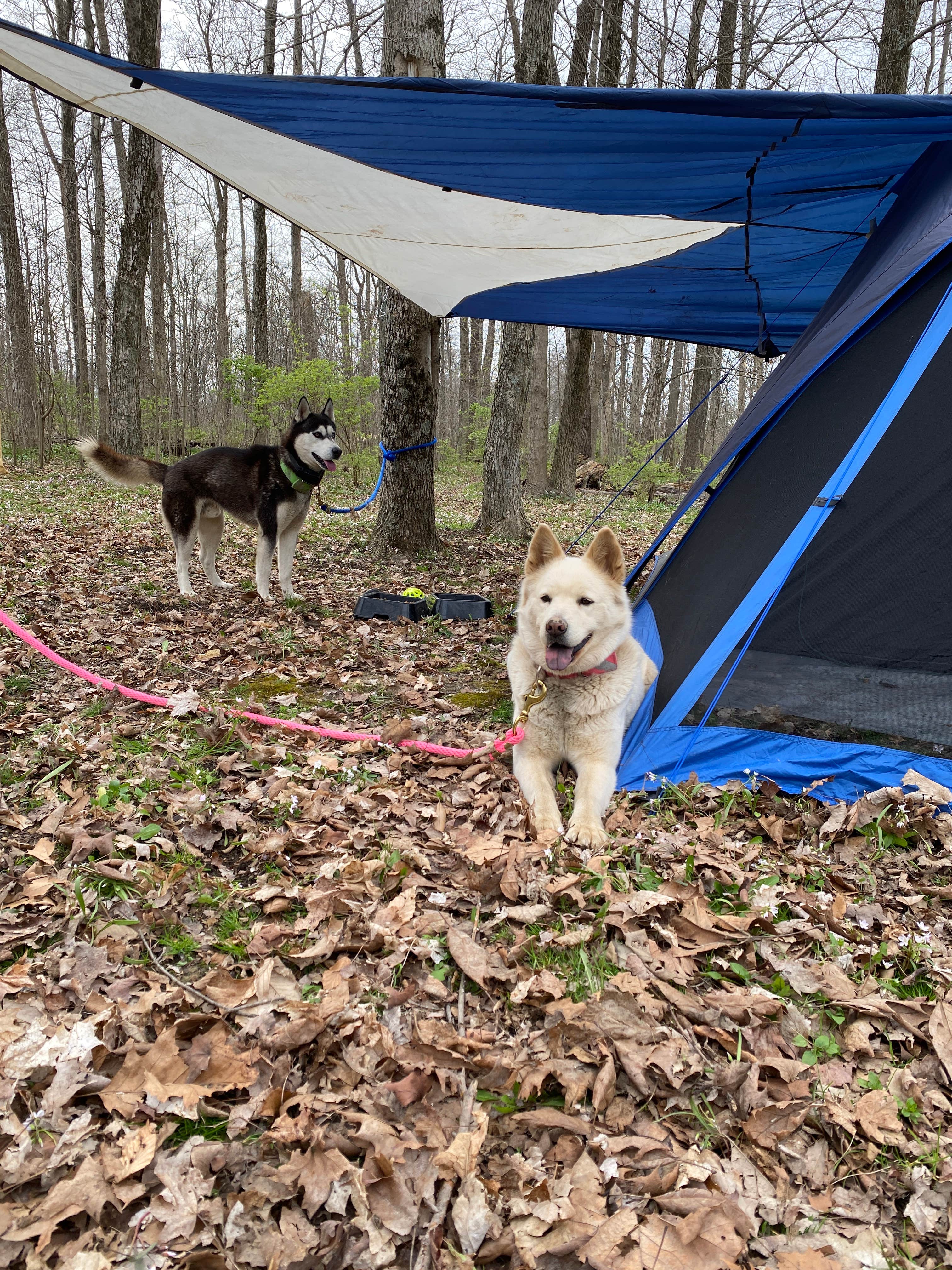 Chad R.'s photo at Cowan Lake State Park Campground in Ohio