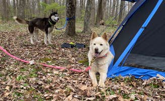 Chad R.'s photo of camping with pets at Cowan Lake State Park Campground near Sinking Spring, OH