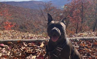 ben's photo of camping with pets at Sasquatch Farm near Sherwood, TN