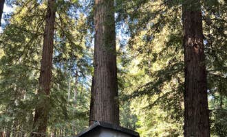Camping near Santa Cruz Harbor: Santa Cruz Redwoods RV Resort, Felton, California