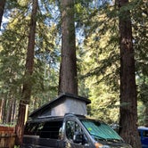 Review photo of Santa Cruz Redwoods RV Resort by GotelRV , April 17, 2022