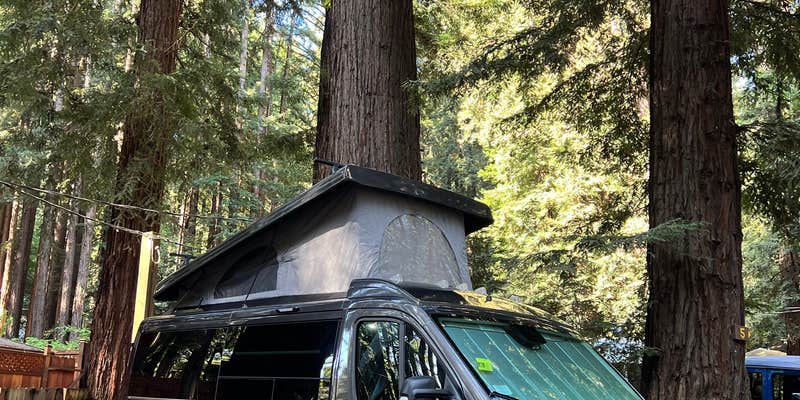 Camper submitted image from Santa Cruz Redwoods RV Resort