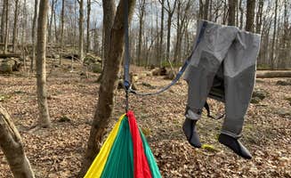 Justin C.'s photo at Houck - Cunningham Falls State Park in Maryland