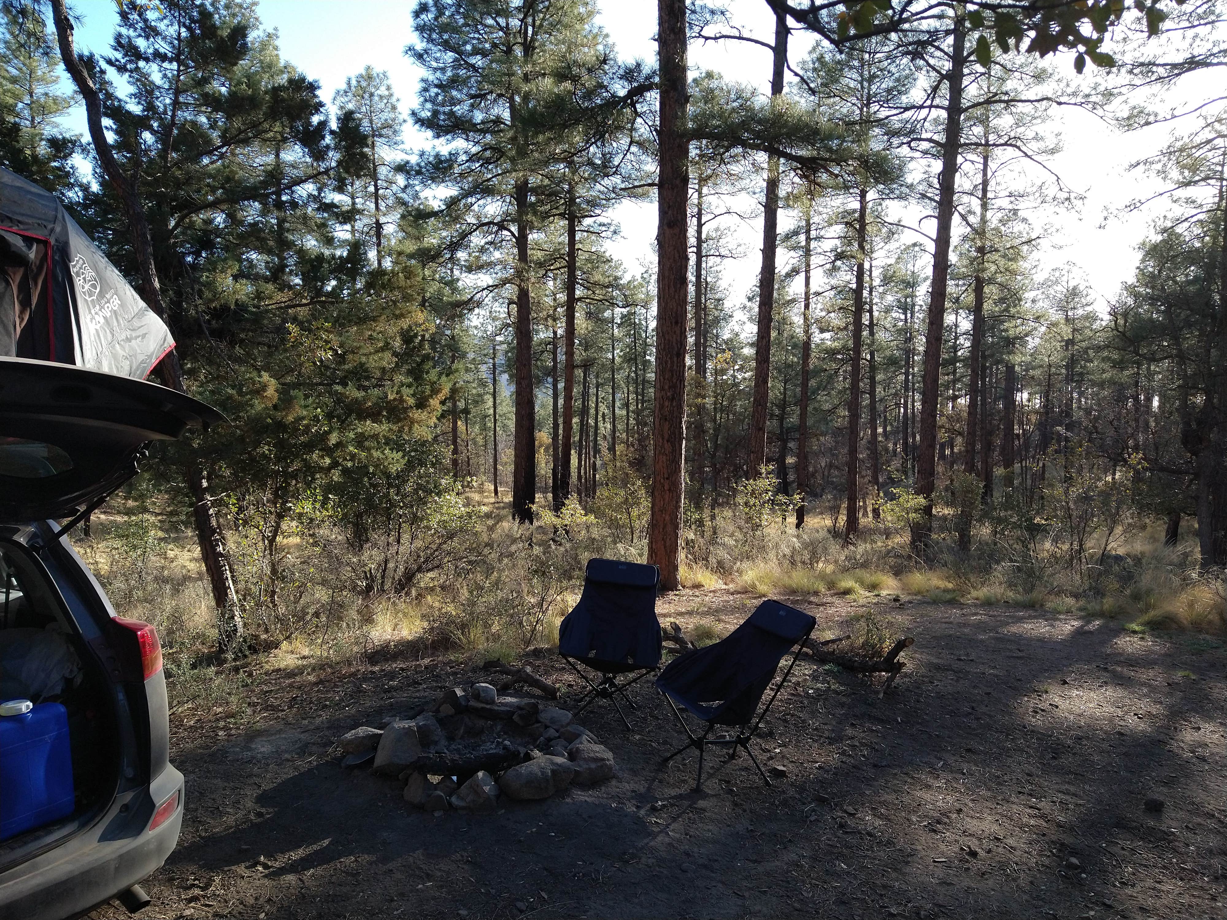 Lily S.'s photo at C101 Wolf Creek Road Dispersed Camping in Arizona