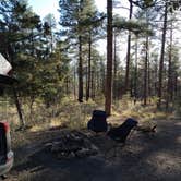 Review photo of C101 Wolf Creek Road Dispersed Camping by Lily S., April 17, 2022