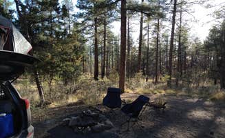 Lily S.'s photo at C101 Wolf Creek Road Dispersed Camping near Mayer, AZ