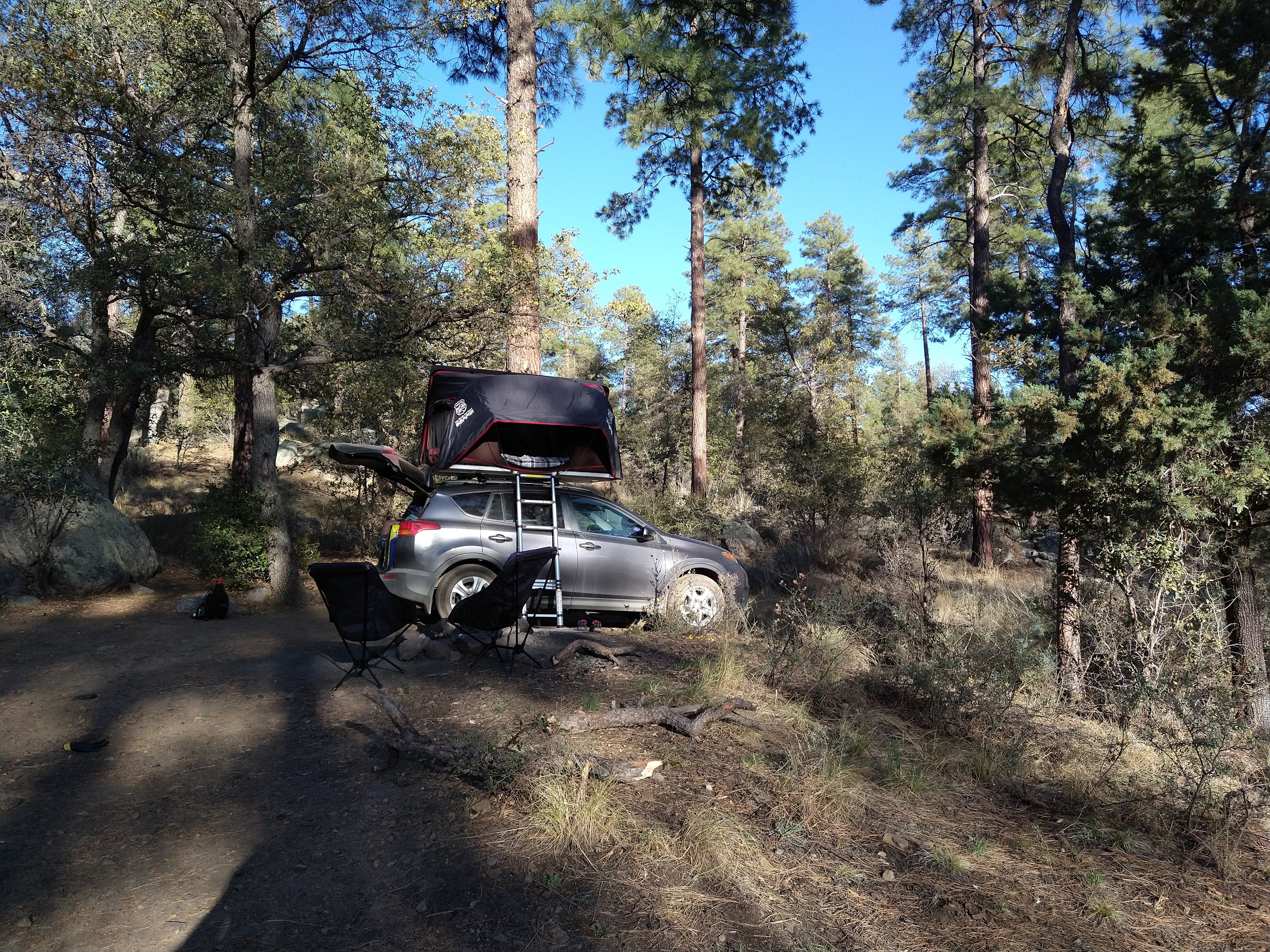 Camper submitted image from C101 Wolf Creek Road Dispersed Camping - 1